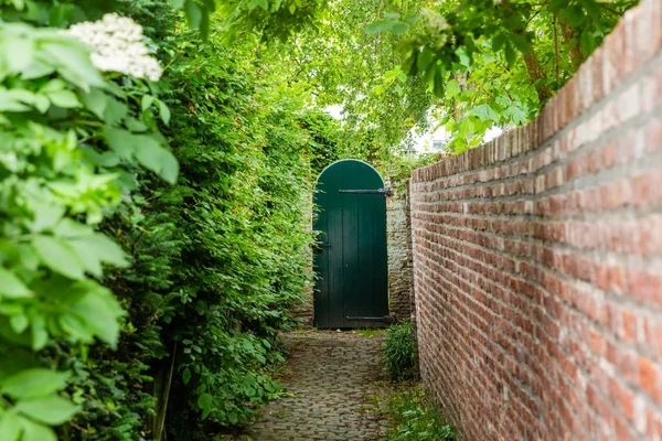 Caminho de acesso estreito para um portão de jardim de madeira — Fotografia de Stock