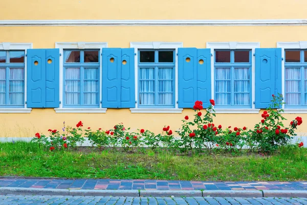 Fensterfront eines Altbaus in Bamberg — Stockfoto