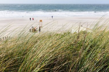 Domburg Kuzey Denizi'nde plaj, Hollanda