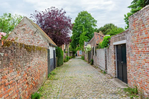 Вид на улицу в историческом небольшом городке Веере, Нидерланды — стоковое фото