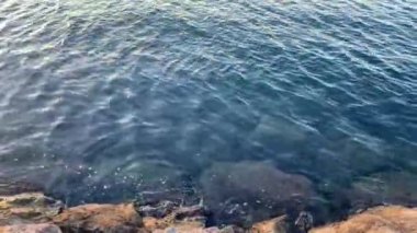 Akşam deniz suyunda sallanırken