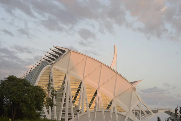 Valência Parque Das Ciências Edifício Original — Fotografia de Stock