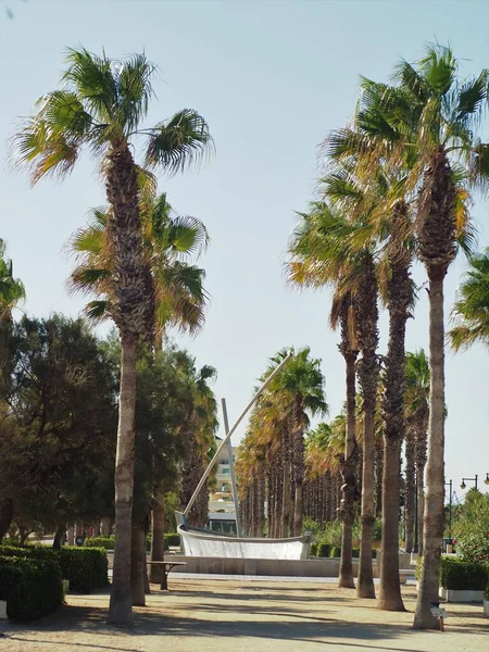 Palm Trees Fountain Shape Boat — Stock Photo, Image