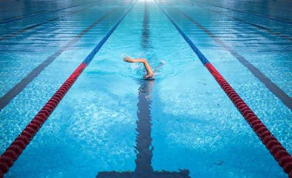 one man swimming on swimming pool line in sport game.