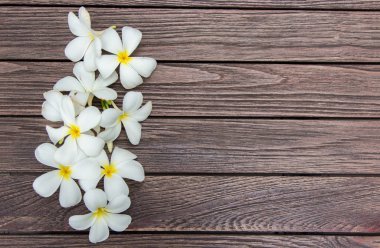 Ahşap masa ile kopya alanı için arka plan üzerinde beyaz frangipapi çiçek. frangipapi çiçek aroması çiçek ve Asya spa konsept sembolü olduğunu.
