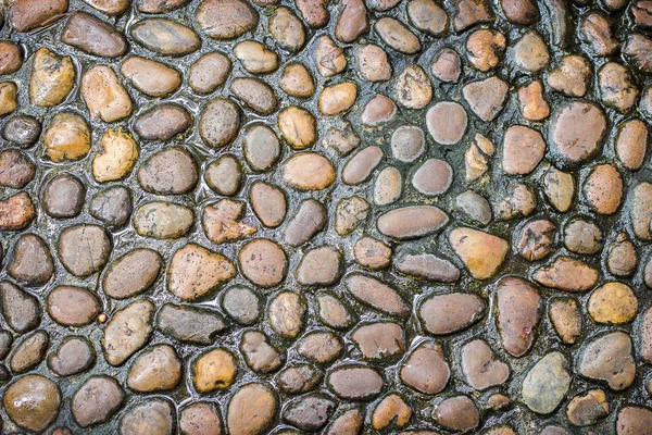 Мокрый Камень Цемент Пути Текстуры Саду Заднем Плане — стоковое фото