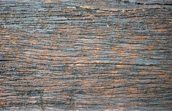Стара Мокра Текстура Дерева Джунглях Фону Використання Природи Тла — стокове фото