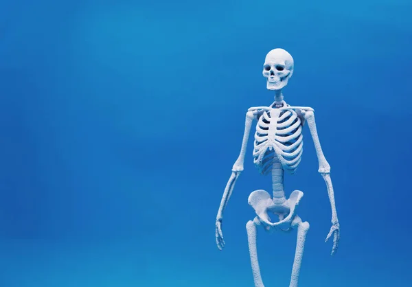 カルシウム健康概念で青い色の背景上の人間の骨 — ストック写真