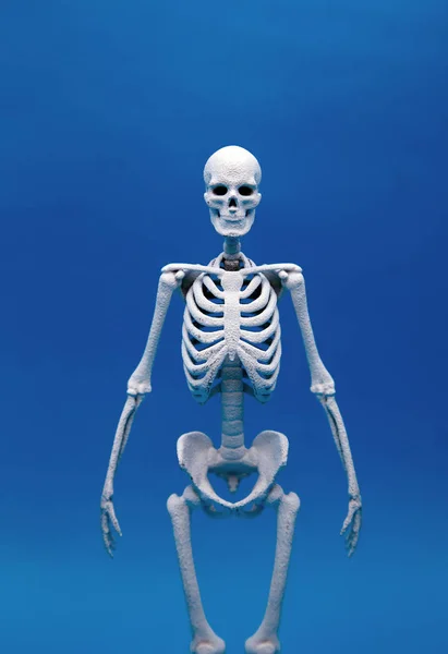 Ludzkie Kości Wapń Rozmycie Tła Kolor Zdrowej Pojęcie — Zdjęcie stockowe