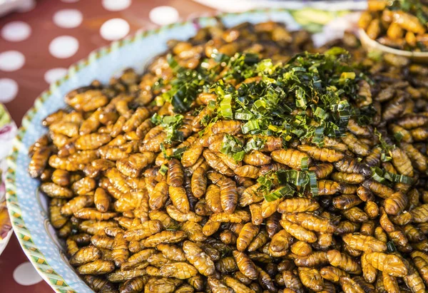 Nahaufnahme Gebratene Larve Gebraten Mit Bergamotte Larven Haben Viel Protein — Stockfoto