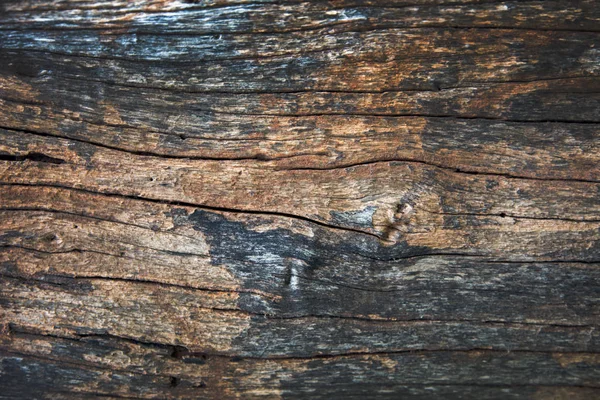 Bliska Streszczenie Tło Powierzchni Drewna Piękno Natury — Zdjęcie stockowe
