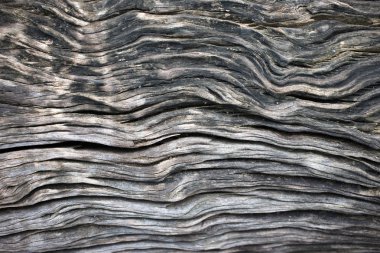 Arkaplan için eski ahşap dokuyu kapat