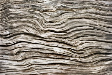 Arkaplan için eski ahşap dokuyu kapat