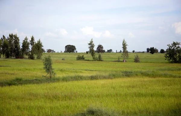 Paisagem Agricultura Vida Tailândia Rural Relaxe Conceito Vista — Fotografia de Stock