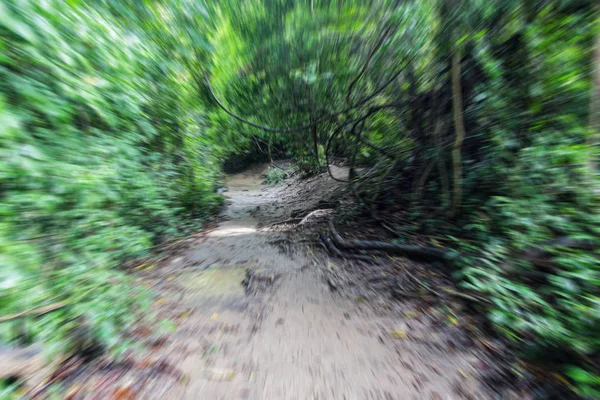 Wandertempo Geschossen Wanderweg Von Der Straße Den Dschungel Regenwald Thailand — Stockfoto