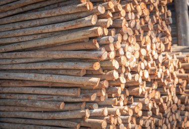 doku arka plan üzerinde ahşap günlük grubu