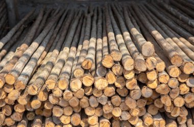 doku arka plan üzerinde ahşap günlük grubu