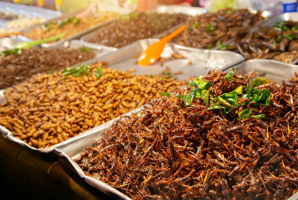 grass hopper fried on street market