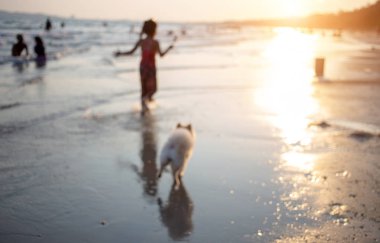 romantik dostluk bulanıklık çocuk ve köpek mutlu yürüyüş vurdu 