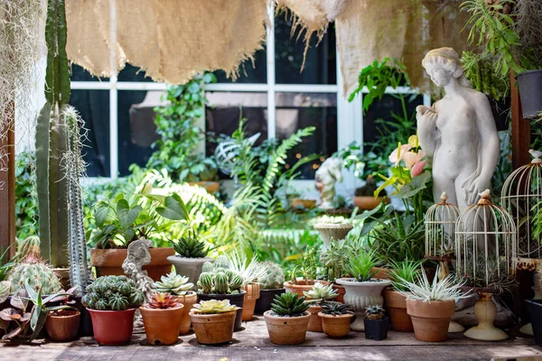 Árvore de cacto e mesa de jardim e escultura de cimento — Fotografia de Stock