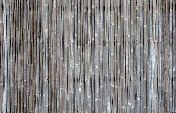 Old Bamboo Fence Texture Arrière-plan — Photo