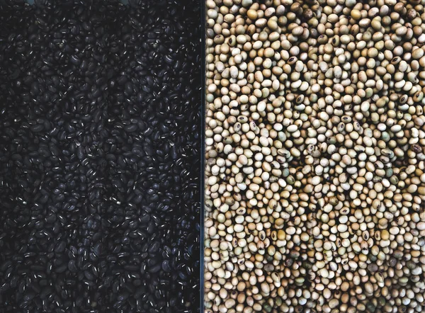 Dry Soy Bean Black Bean Half Shelt Background — Stock Photo, Image