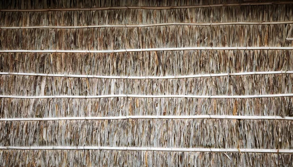 Kuru Hindistan Cevizi Yaprağı Doğal Arka Plandan Çitin Bambu Ahşap — Stok fotoğraf