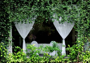 Yeşil sarmaşık bahçesinden arka plan için evdeki oturma odasına dış çerçeve.