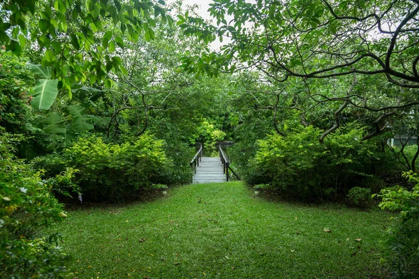 Зелений Сад Дерев Яний Док Водойми Відпочинку Природою — стокове фото
