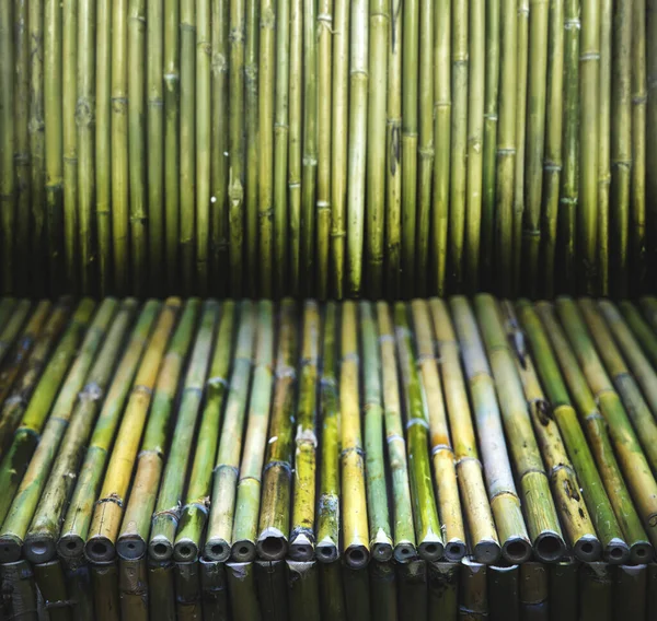 Textura Madeira Bambu Verde Para Defesa Jardim Parede Natureza Conceito — Fotografia de Stock