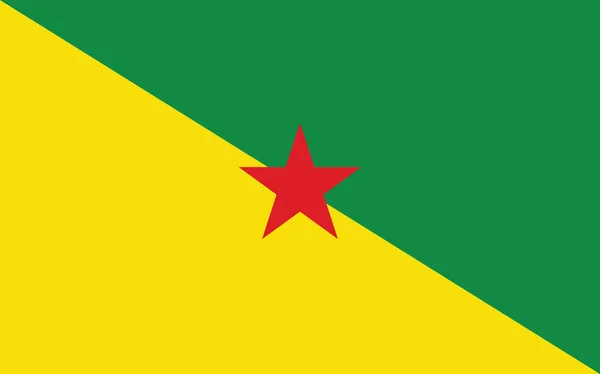 Gráfico Vectorial Bandera Guayana Francesa Rectángulo Bandera Guyana Ilustración Bandera — Vector de stock