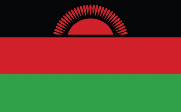 Malawi Flaga Wektor Graficzny Prostokąt Malawian Flagi Ilustracji Flaga Kraju — Wektor stockowy