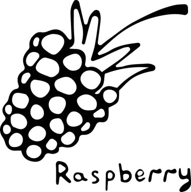 Doodle tarzında bir ahududun vektör illüstrasyonu, beyaz arkaplanda 