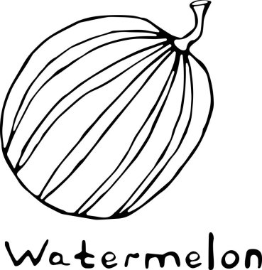 Doodle tarzında bir karpuzun vektör çizimi, beyaz arkaplanda 