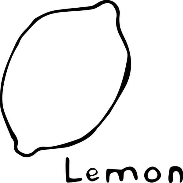Doodle tarzında bir limonun vektör çizimi, beyaz arkaplanda 