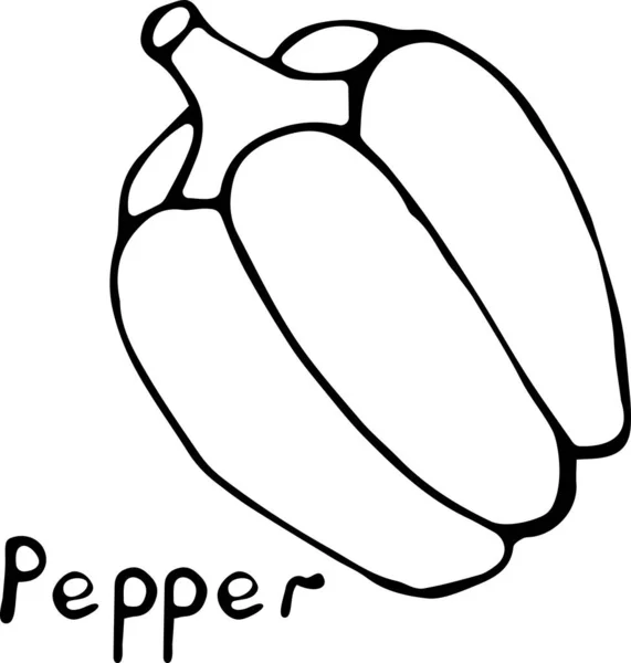 Ilustración vectorial de un pimiento al estilo Doodle, contorno negro dibujado a mano sobre un fondo blanco con el texto "Pepper". Se puede utilizar para papel, textiles, telas, libros, papel Fondo de pantalla — Vector de stock