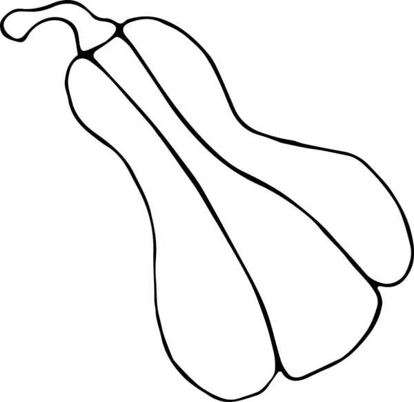 Illustrazione vettoriale di una zucca in stile Doodle, contorno nero disegnato a mano su sfondo bianco. Può essere utilizzato per carta, tessuti, tessuti, libri, carta da parati. Concetto di stagionalità, natura — Vettoriale Stock