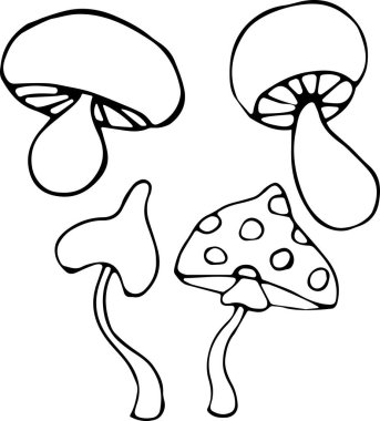 Doodle tarzında yenmez ve yenmez mantarların vektör çizimi. Mantar, mantar, porcini mantarı, domates, mantar. İzole edilmiş beyaz bir arka planda siyah çizgili. Ekoloji kavramı
