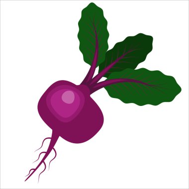 Pancar ikonu düz tasarımının vektör çizimi. Pancar kökü, ikon, beyaz arka planda izole bir nesne. Vejetaryenlik, sağlıklı yiyecekler, organik sebzeler. Kitaplar, dergiler ve internet için.