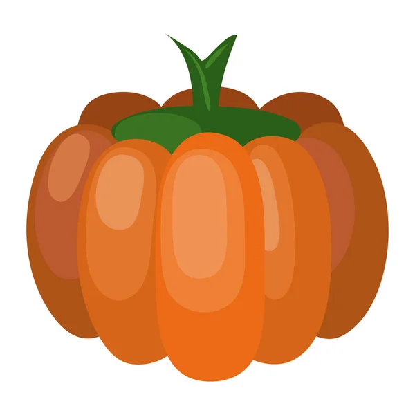Vector illustration of pumpkin icon flat design. Illustration of a pumpkin, icon, isolated object on a white background. Vegetarianism, healthy food, organic vegetables . For books, magazines,and web — Stock Vector