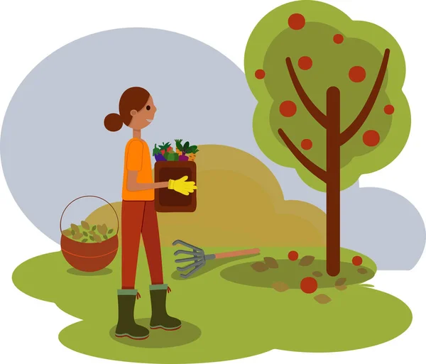 Μια νεαρή κοπέλα με μια σακούλα λαχανικά στα χέρια της, που δουλεύει στον κήπο στο φόντο ενός δέντρου με πεσμένα μήλα και φύλλα. Συγκομιδή, εποχιακή εργασία στην εκμετάλλευση ή στον κήπο. — Διανυσματικό Αρχείο
