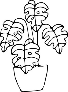 Doodle tarzında bir saksının içindeki ev bitkisinin vektör çizimi. Konfor konsepti, yeşillik, ev dekorasyonu, ekoloji. Kumaş, kitap, tekstil, ağ, duvar kağıdı için kullanılabilir