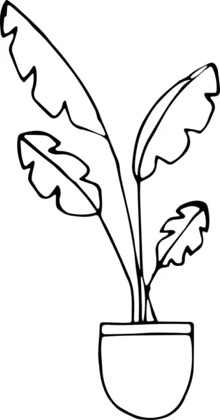 Vektor illusztráció egy hazai növény egy banán edény a Doodle stílusban. A kényelem, a növényzet, az otthoni dekoráció, az ökológia, a trópusok fogalma. Használható szövet, könyvek, textíliák, web, tapéta — Stock Vector