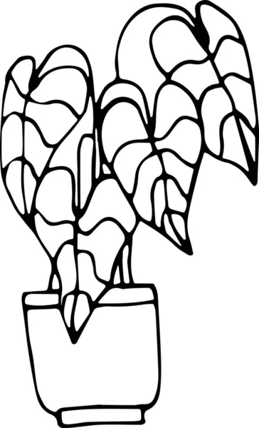 Doodle tarzında bir saksı ev bitkisinin vektör çizimi. Konfor konsepti, yeşillik, ev dekorasyonu, ekoloji. Kumaş, kitap, tekstil, ağ, duvar kağıdı için kullanılabilir