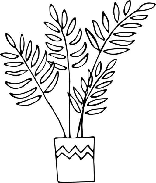 Vektor illusztráció egy cserepes ház növény a Doodle stílusban. A kényelem, a növényzet, az otthoni dekoráció, az ökológia fogalma. Használható szövet, könyvek, textíliák, web, tapéta — Stock Vector