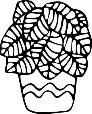 Doodle tarzında bir saksı ev bitkisinin vektör çizimi. Konfor konsepti, yeşillik, ev dekorasyonu, ekoloji. Kumaş, kitap, tekstil, ağ, duvar kağıdı için kullanılabilir