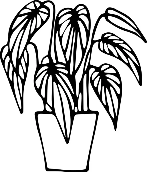 Ilustración vectorial de una planta de casa en maceta al estilo Doodle. El concepto de confort, vegetación, decoración del hogar, ecología. Puede ser utilizado para la tela, libros, textiles, tela, papel pintado — Vector de stock
