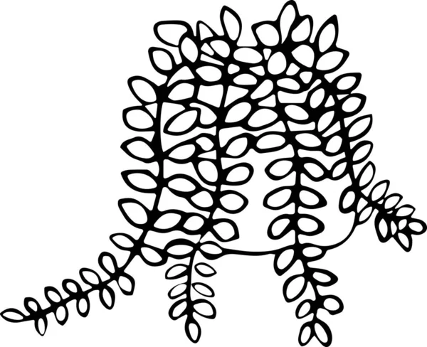 Doodle tarzında bir saksı ev bitkisinin vektör çizimi. Konfor konsepti, yeşillik, ev dekorasyonu, ekoloji. Kumaş, kitap, tekstil, ağ, duvar kağıdı için kullanılabilir — Stok Vektör