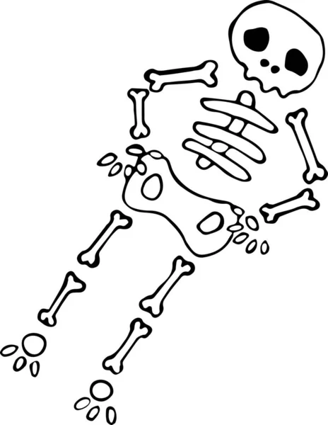 Vektor illustration av ett skelett, mänskliga ben för Halloween i Doodle stil. Begreppet semester, rädsla, skräck, kul, Halloween. Kan användas till tyg, textil, papper, Tapet, böcker. — Stock vektor