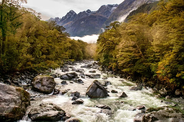 Tutoko Folyó Zuhog Hegyekben Mellett Milford Sound Highway Szeszélyes Eső — Stock Fotó